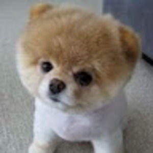 Meet your Posher, Choi